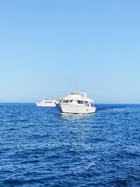 Boat "Pirates Club" 170